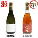 12位! 口コミ数「0件」評価「0」本格焼酎ちえびじん+ちえびじん紅茶梅酒のセット【中野酒造】 飲み比べ 和紅茶 大分 ギフト 贈答 ＜110-013_6＞