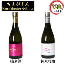 【ふるさと納税】清酒ちえびじんセット(純米酒・純米吟醸山田錦 720ml各1本)【中野酒造】 日本酒 飲み比べ 人気 ギフト 贈答 父の日 <110-006_7...