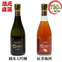 中野酒造 ちえびじん 紅茶梅酒 【ふるさと納税】ちえびじん純米大吟醸と紅茶梅酒のセット【中野酒造】 日本酒 飲み比べ べにふうき 和紅茶 ギフト 贈答 ＜110-014_5＞