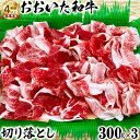【ふるさと納税】おおいた和牛 切り落とし(300g×3)【ニード牧場】 お楽しみ 黒毛和牛 豊後牛 牛肉 お肉 人気 <129-001_5>