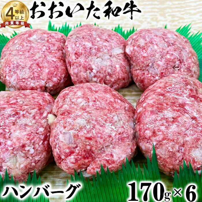 おおいた和牛 ハンバーグ(170g×6)[ニード牧場] お楽しみ 黒毛和牛 豊後牛 牛肉 お肉 人気 冷凍 [129-002_5]