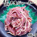 黒毛和牛 半生ジャーキー（40g×5） お楽しみ 豊後牛 牛肉 お肉 人気 ＜129-003_5＞