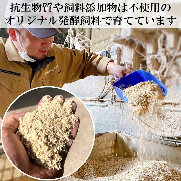 大分県杵築市の画像2