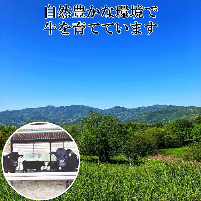 大分県杵築市の画像3