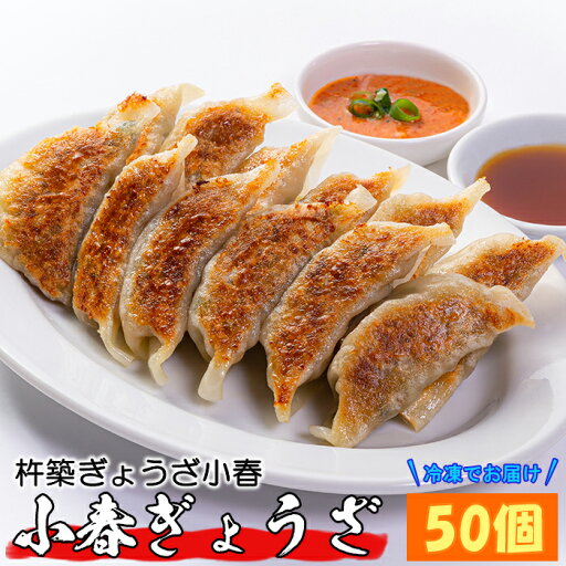 【ふるさと納税】杵築ぎょうざ小春の小春ぎょうざ(スタンダード) 50個 冷凍 餃子 人気 国産 ぎょうざ ギョーザ <152-001_5> 【ふるさと納税】杵築ぎょうざ小春の小春ぎょうざ(スタンダード) 50個 冷凍 餃子 人気 国産 ぎょうざ ギョーザ <152-001_5>
