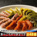 8位! 口コミ数「0件」評価「0」杵築ぎょうざ小春の彩りごちそうぎょうざ4種食べ比べセット（各12個 計48個）冷凍 餃子 人気 国産 ぎょうざ ギョーザ ＜152-003_･･･ 