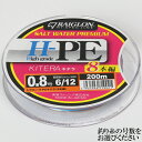 【ふるさと納税】レグロン H-PE キテラ 8本編 ライン 釣り糸 RAIGLON 0.8号 1号 1.5号 2号 3号＜139-004_5＞