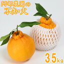 【ふるさと納税】阿部農園の「ハウス葉付き不知火 約3.5kg」 / ミカン みかん 蜜柑 柑橘類 不知火 数量限定 フルーツ <112-006>
