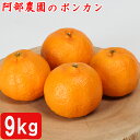 【ふるさと納税】阿部農園の「ポンカン 約9kg」 先行予約 果物 フルーツ みかん <112-005>