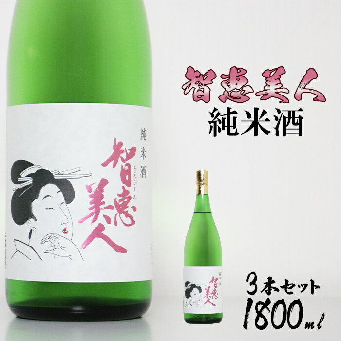 【ふるさと納税】中野酒造　清酒「智恵美人　純米酒」1800ml 3本セット 日本酒＜105-029_5＞