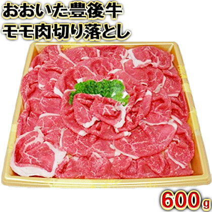 おおいた豊後牛モモ肉切り落とし600g＜105-003_5＞