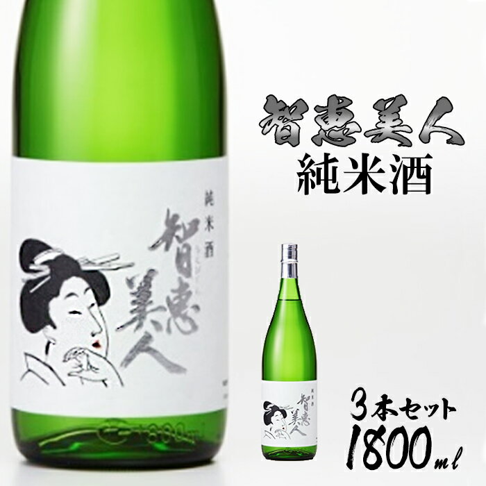 【ふるさと納税】中野酒造 清酒「智恵美人 純米酒」1800ml 3本セット 日本酒＜105-029_5＞