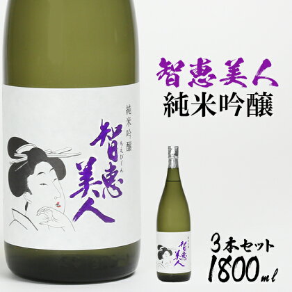 中野酒造　清酒「智恵美人　純米吟醸酒」1800ml 3本セット 日本酒＜105-031_5＞