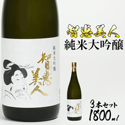 中野酒造　清酒「智恵美人　純米大吟醸酒」1800ml 3本セット 日本酒＜105-033_5＞