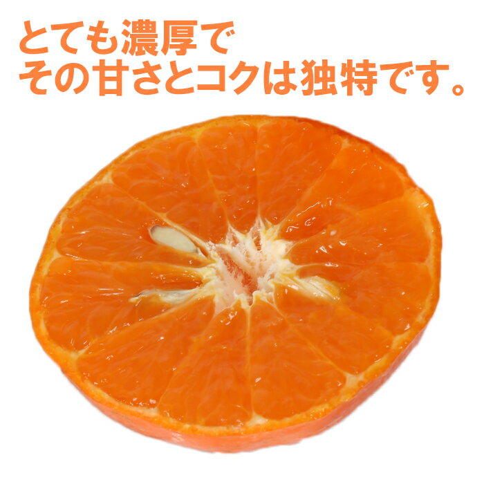 大分県杵築市の画像3