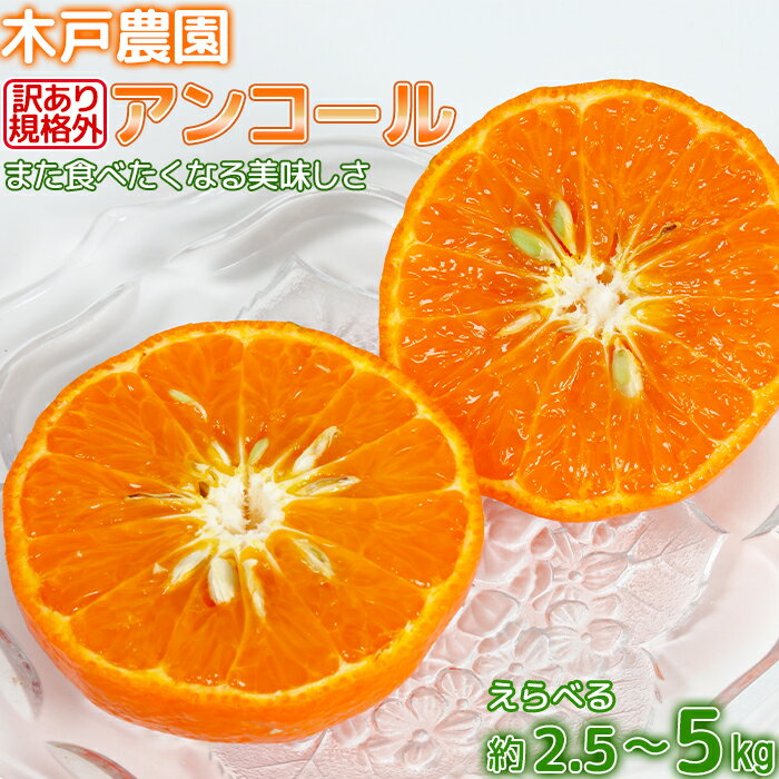 [訳あり・規格外品]木戸農園のアンコール 約2.5〜5kg 先行予約 果物 フルーツ 傷 不揃い[113-702_6]