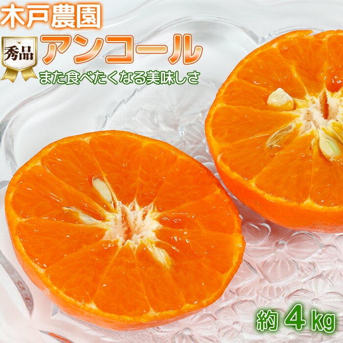 【ふるさと納税】 木戸農園のアンコール 約4kg（秀品） 先行予約 果物 フルーツ ＜113-003_5＞