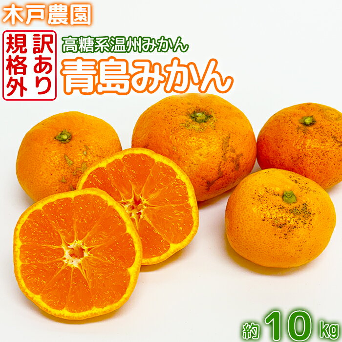 【ふるさと納税】【訳あり・規格外品】木戸農園の青島 約10kg 高糖系温州みかん みかん 10kg 訳あり 先行予約 柑橘類 フルーツ 1月 2月 <113-014>