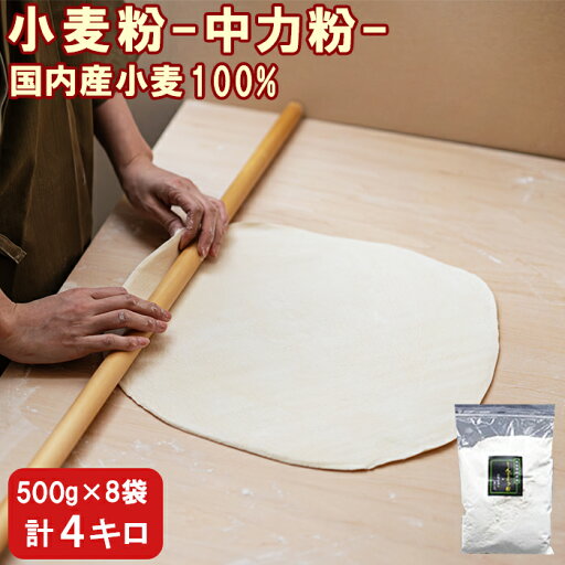 【ふるさと納税】小麦粉 中力粉 大分県産 4kg(500g×8袋) 小麦 国産 小麦粉 中力粉 業務用 家庭用 粉 うどん作り お菓子作り パン作り 料理 <108-049_6> 【ふるさと納税】小麦粉 中力粉 大分県産 4kg(500g×8袋) 小麦 国産 小麦粉 中力粉 業務用 家庭用 粉 うどん作り お菓子作り パン作り 料理 <108-049_6>