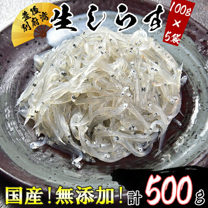 【ふるさと納税】国産無添加！豊後別府湾生しらす500g（100g×5パック）＜43-A0162＞