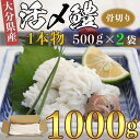 大分県産活じめ鱧（はも）1本物 骨切り切身 たっぷり 1000g 湯引き 天ぷら しゃぶしゃぶ 鍋 魚 海鮮 ＜108-006_5＞