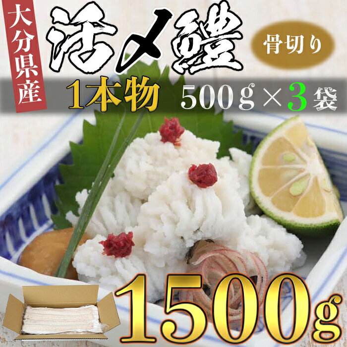 大分県産活じめ鱧(はも)1本物 骨切り切身 たっぷり 1500g 湯引き 天ぷら しゃぶしゃぶ 鍋 魚 海鮮 [108-007_5]