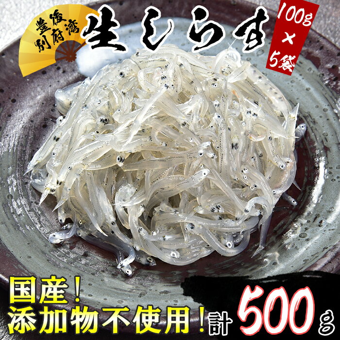 国産!添加物不使用!豊後別府湾生しらす 500g(100g×5パック)[108-029_5]