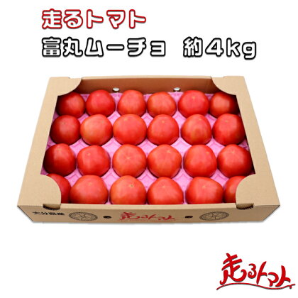 「走るトマト」の大玉トマト富丸ムーチョ 約4kg トマト 4kg ＜140-001_5＞