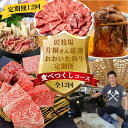 【ふるさと納税】<12か月定期便>匠牧場 片桐さん厳選【おおいた和牛食べつくしコース】 牛肉 和牛 定期便 12回 12ヶ月 おすすめ 国産 <102-800>