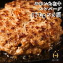 【ふるさと納税】A0134 おおいた和牛特製ハンバーグ170g×6個（計1020g）