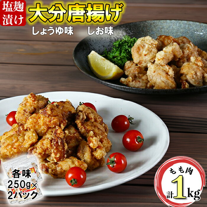 【ふるさと納税】からあげ幸力の大分唐揚げ1キロ（しお500g・しょうゆ500g）＜057-012_5＞