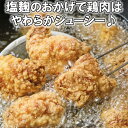 【ふるさと納税】からあげ幸力の大分唐揚げ1キロ（しお味）＜057-009_5＞ 2