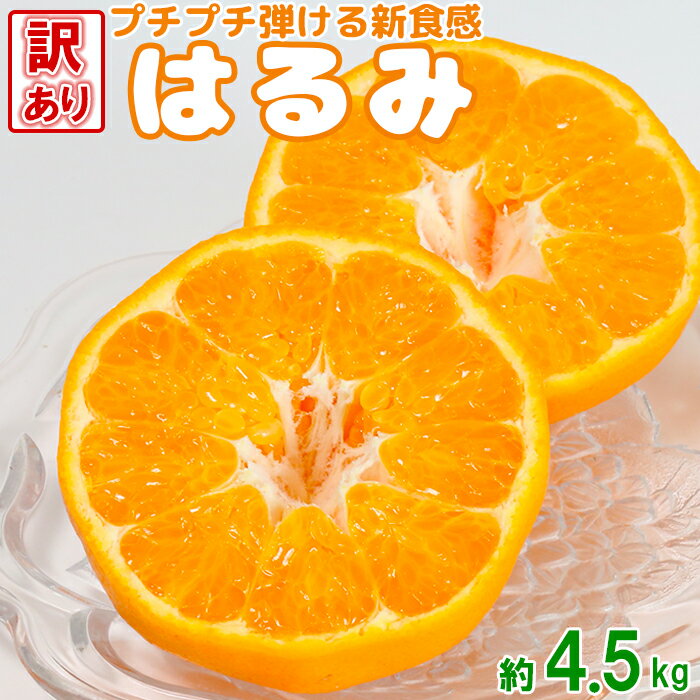 [訳あり品]岩尾農園のはるみ 約4.5kg 先行予約 果物 フルーツ 傷 規格外 不揃い[066-006_5]