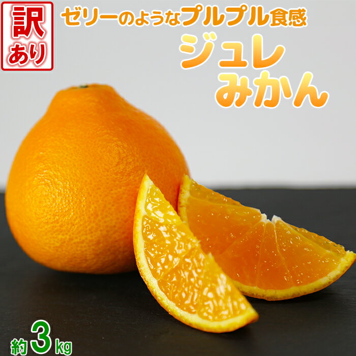 [訳あり品]岩尾農園のジュレみかん 約3kg 先行予約 果物 フルーツ 傷 規格外 不揃い[066-008]
