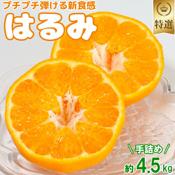 岩尾農園のはるみ 特選 約4.5kg(手詰め) 先行予約 果物 フルーツ[066-007_5]