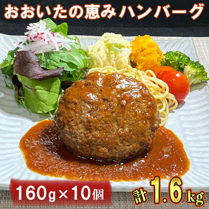 おおいたの恵みハンバーグ1.6kg[160g×10個] ハンバーグ 冷凍 レンジ 大分の恵みハンバーグ ハンバーグ 国産 人気 牛肉 冷凍 豚肉 牛 ＜130-001_5＞