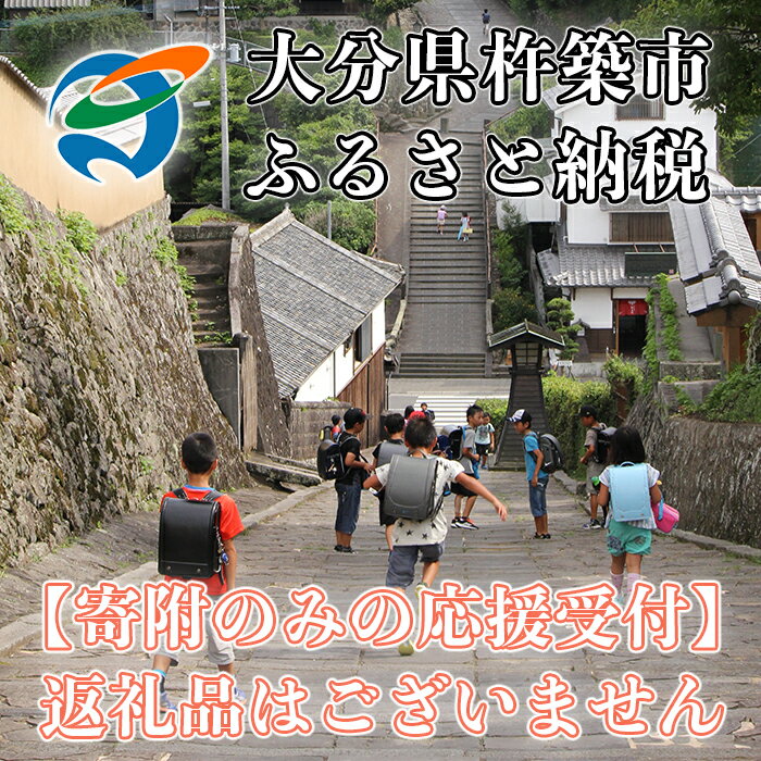 大分県杵築市 寄附のみの応援受付(返礼品なし) 3000円