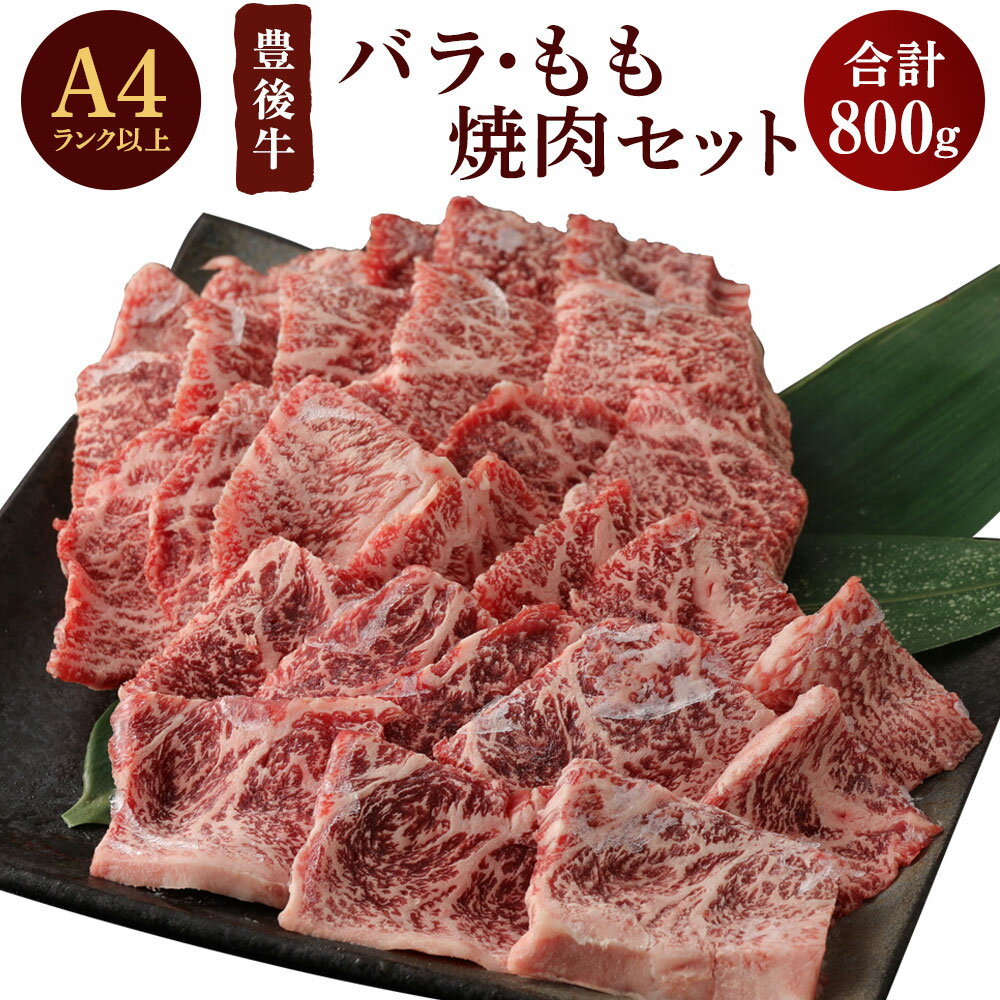 8位! 口コミ数「1件」評価「5」豊後牛バラ・もも 焼肉 セット(計800g・牛バラ400g・牛もも400g)牛肉 お肉 豊後牛 焼き肉 バーベキュー 冷凍 国産 大分県産【･･･ 