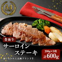 【ふるさと納税】豊後牛 サーロイン ステーキ 計600g・200g 3枚 牛肉 お肉 肉 焼き肉 バーベキュー 冷凍 国産 和牛 大分県産【106401900】【まるひで】