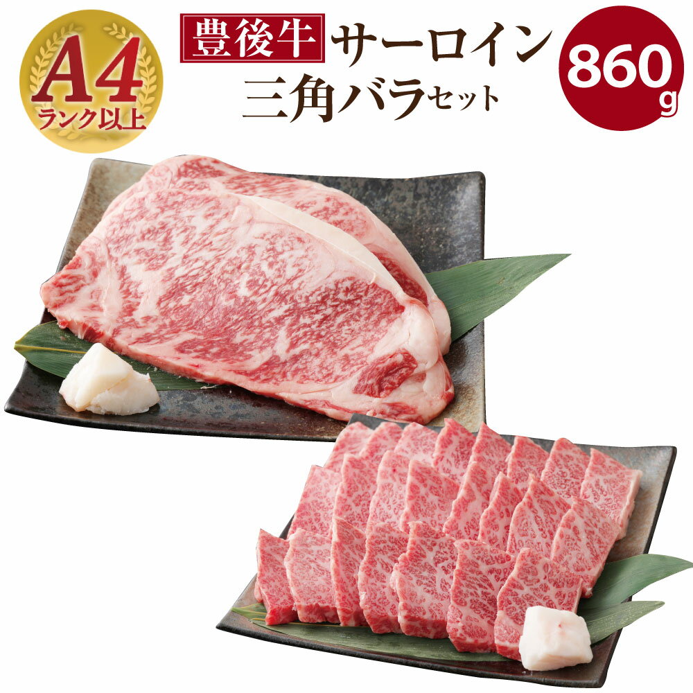 豊後牛サーロイン・三角バラ焼肉セット(合計約860g)牛肉 お肉 豊後牛 牛サーロイン 三角バラ 焼き肉 バーベキュー セット[106402500][まるひで]