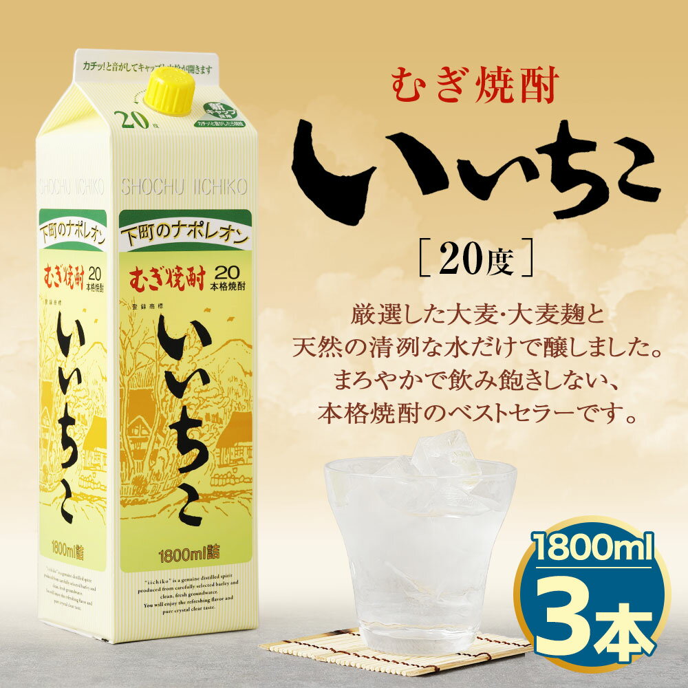 【ふるさと納税】いいちこ 20度 パック(計5.4L・1.8L×3本)酒 お酒 むぎ焼酎 1800ml 麦焼酎 麦 常温 三和酒類 紙パック【107301200】【時枝酒店】