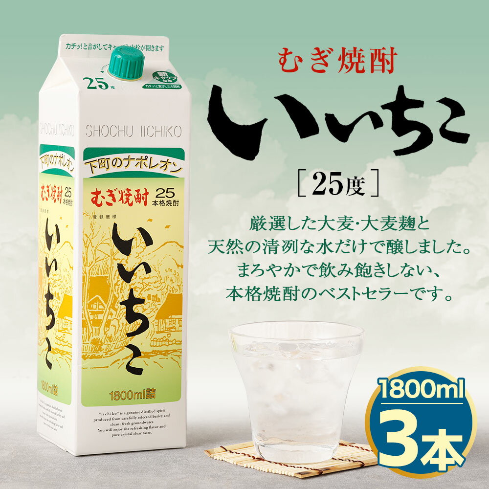 【ふるさと納税】いいちこ 25度 パック(計5.4L・1.8L×3本)酒 お酒 むぎ焼酎 1800ml 麦焼酎 常温 いいちこ 三和酒類 紙パック【106103900】【酒のひろた】