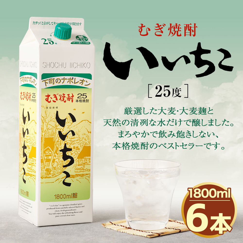 【ふるさと納税】いいちこ パック 25度(計10.8L・1.8L×6本)酒 お酒 むぎ焼酎 1800ml 麦焼酎 いいちこ 常温 三和酒類 紙パック【104304400】【山添産業】