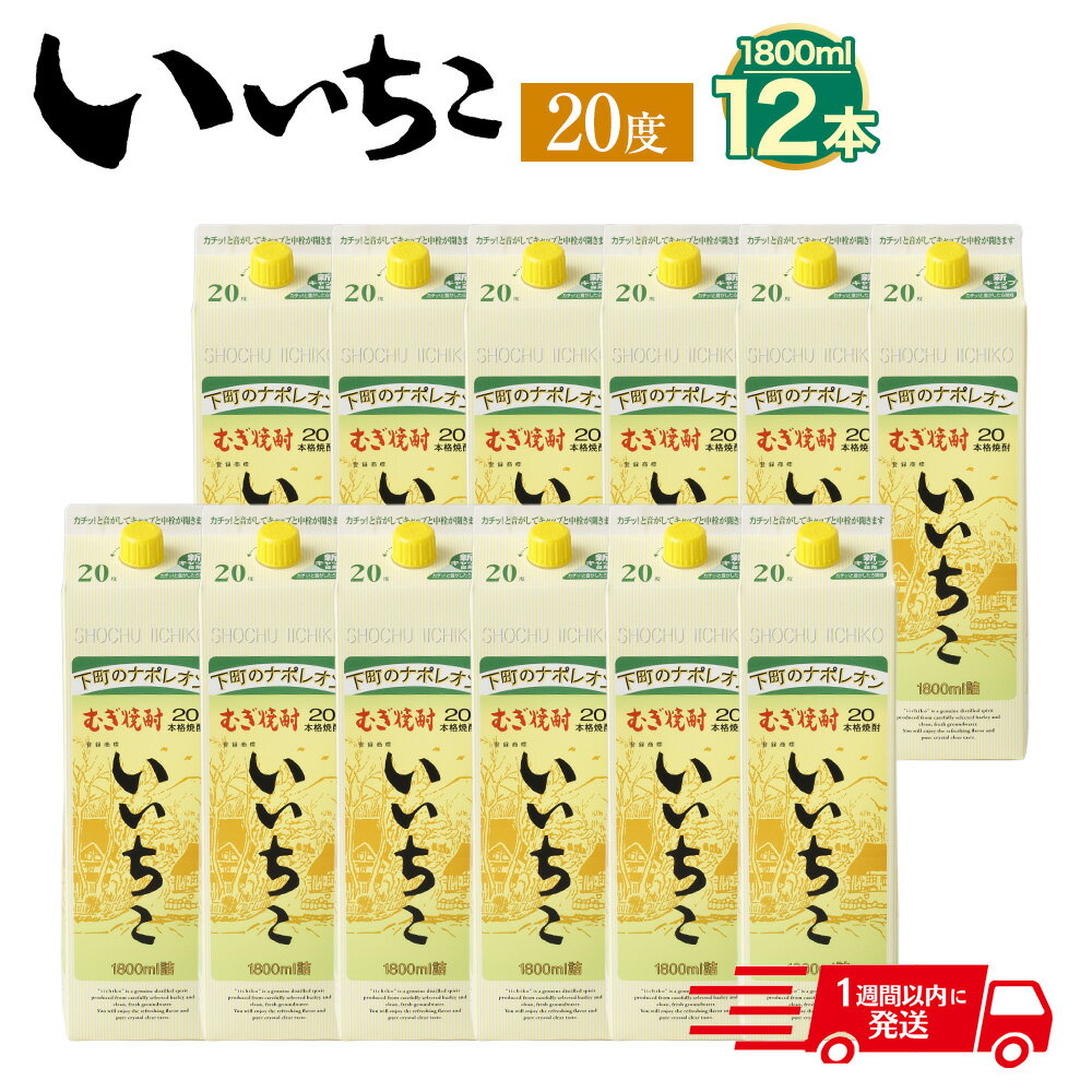 【ふるさと納税】いいちこ 20度 パック 計21.6L・1.8L 12本 酒 お酒 むぎ焼酎 1800ml 麦焼酎 常温 いいちこ 三和酒類 紙パック【107304900】【時枝酒店】