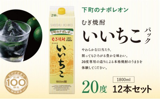 【ふるさと納税】E-23 いいちこパック20度 1800ml 12本 麦焼酎 本格焼酎 【スピード発送】送料無料