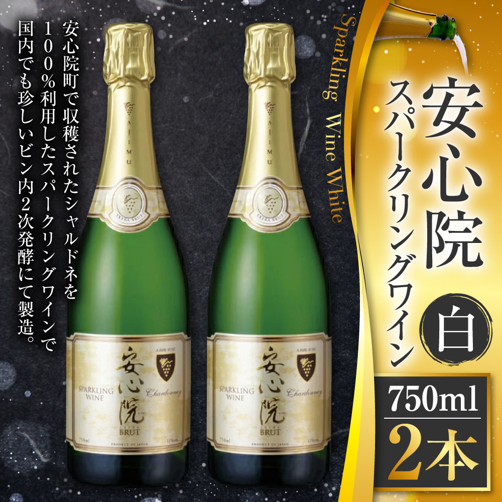 【ふるさと納税】安心院スパークリングワイン 白(計1.5L・750ml×2本)酒 お酒 ワイン 白ワイン スパークリングワイン ぶどう 葡萄 常温【107302600】【時枝酒店】