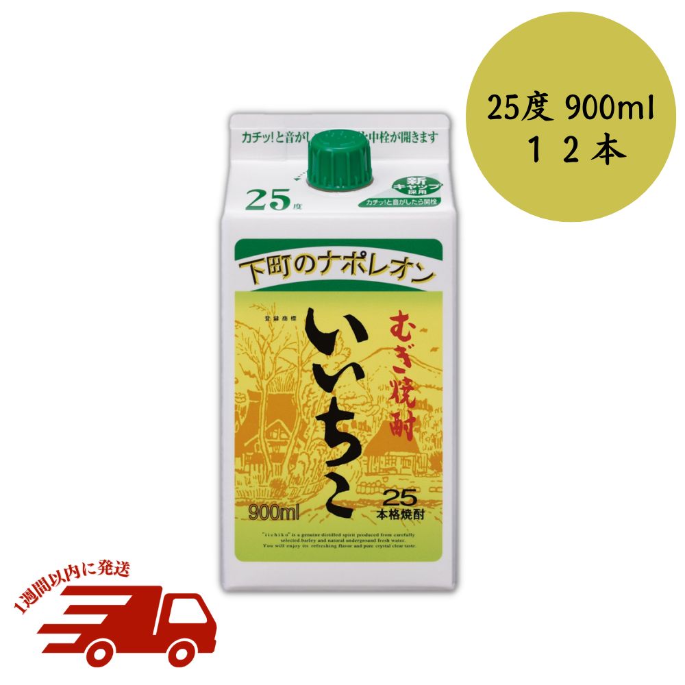 【ふるさと納税】いいちこ 25度 パック(計10.8L・900ml×12本)酒 お酒 むぎ焼酎 900ml 麦焼酎 常温 い...