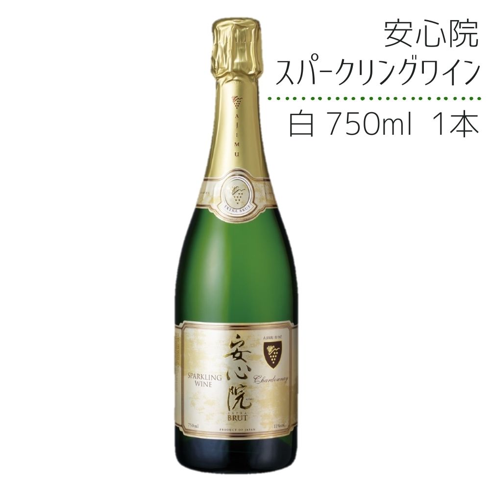 【ふるさと納税】安心院スパークリングワイン 白 750ml 酒 お酒 ワイン 白ワイン スパークリングワイン アルコール 飲料 ぶどう 葡萄【107300500】【時枝酒店】