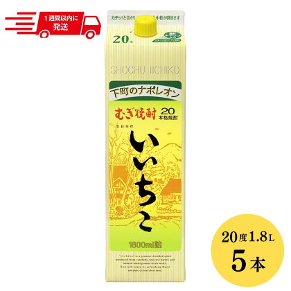 【107303300】いいちこ 20度 1800ml パック 5本【時枝酒店】