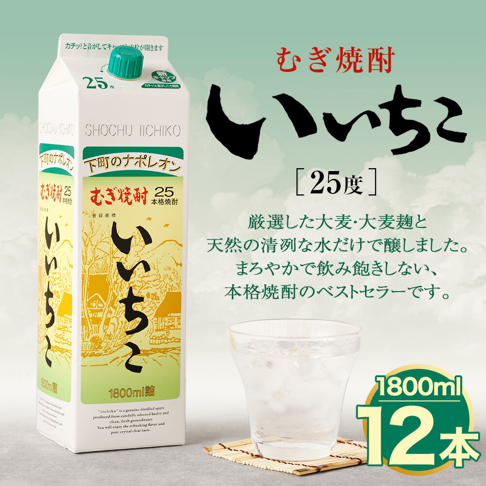 【ふるさと納税】いいちこ 25度 パック(計21.6L・1.8L×12本)酒 お酒 むぎ焼酎 1800ml 麦焼酎 常温 いいちこ 三和酒類 紙パック【107305100】【時枝酒店】